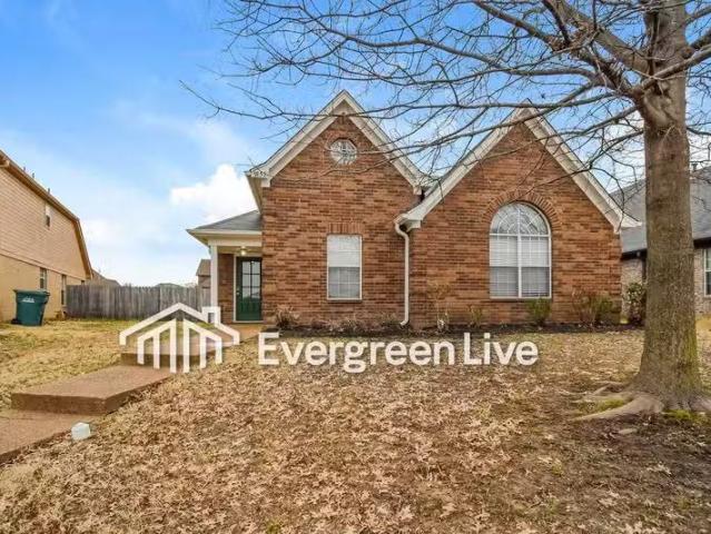 House for rent in Southaven