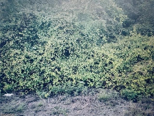 Land for sale in Fort Myers, Florida