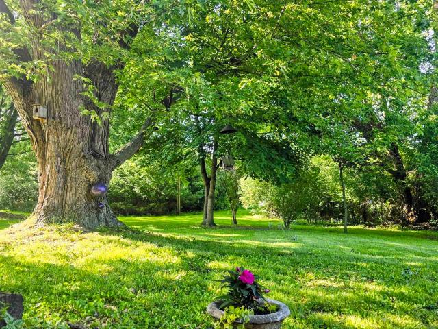 House for sale in Davison, Michigan
