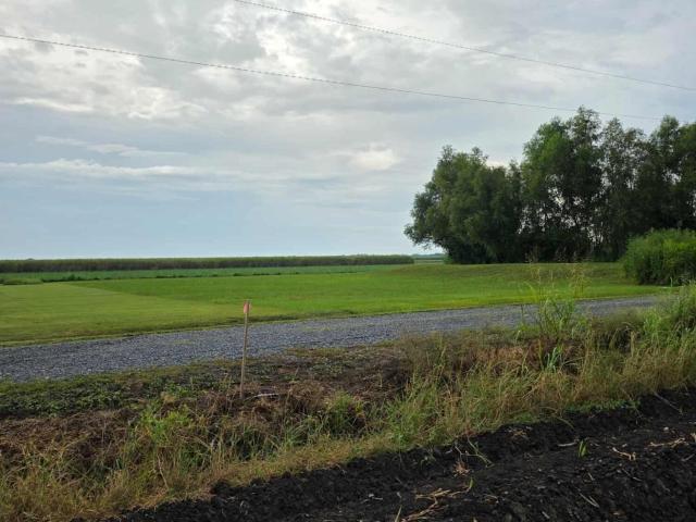 Land for sale in Iberia, Louisiana