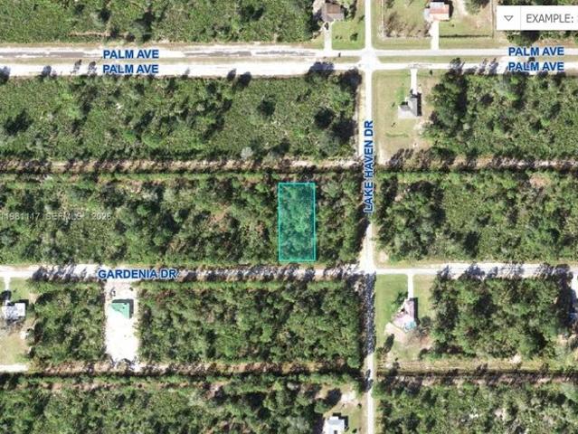Land for sale in Florida