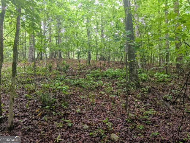 Land for sale in Gilmer, Georgia