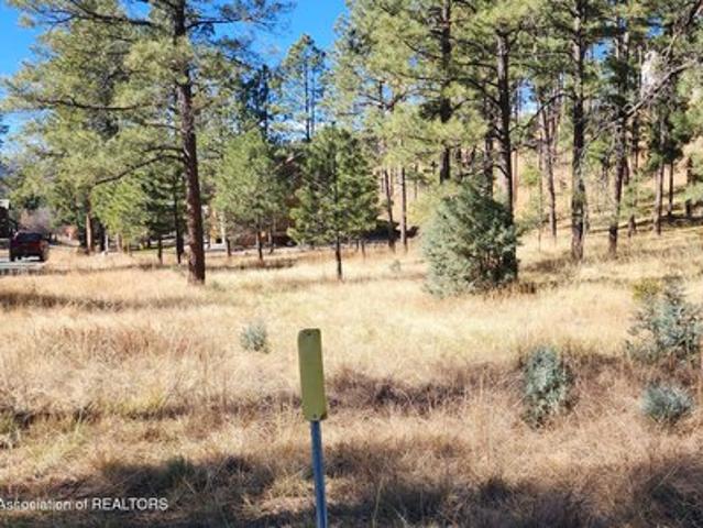 Land for sale in Alto, New Mexico