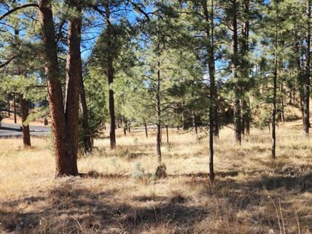 Land for sale in Alto, New Mexico