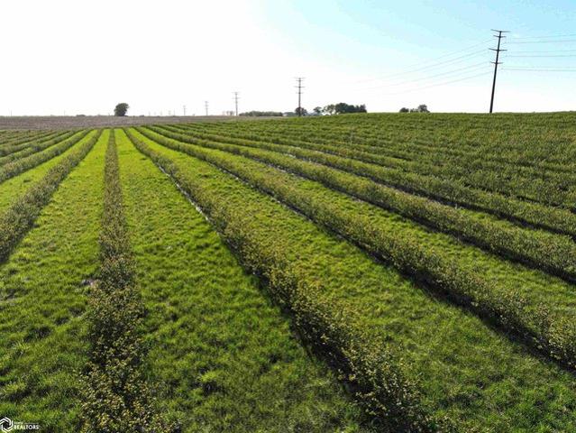 Farm for sale in Fairbank, Iowa
