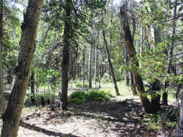 Land for sale in Central City, Colorado