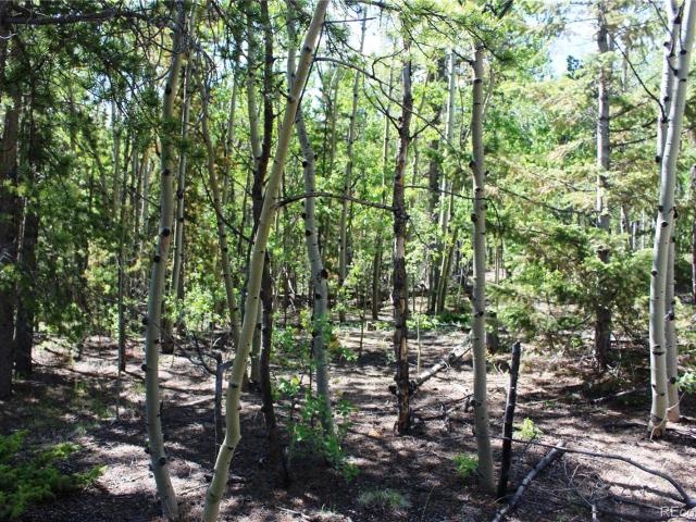 Land for sale in Russell Gulch, Central City