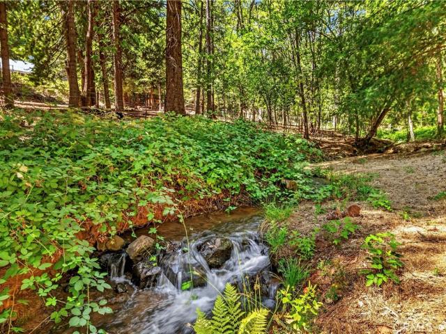 House for sale in Butte, California