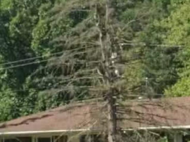 House for rent in Westland