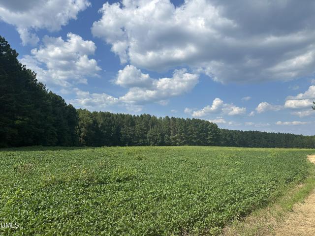 Land for sale in Granville, North Carolina