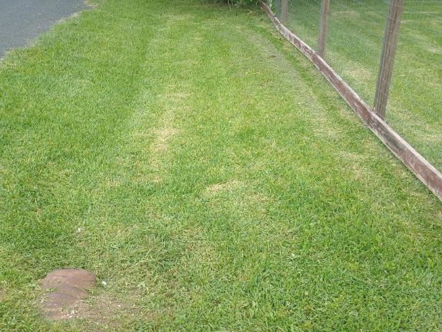 Land for sale in Wharton, Wharton County