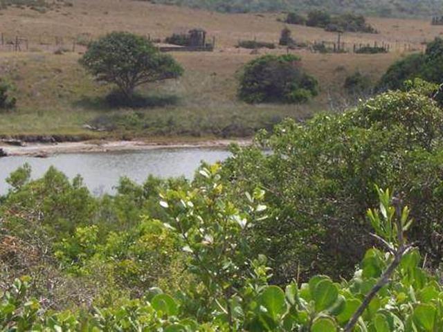 Land for sale in Bushmans River Mouth, Eastern Cape