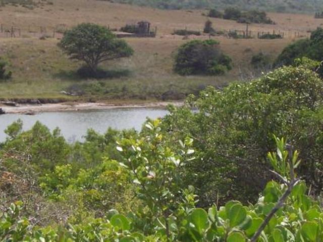 Land for sale in Alexandria, Ndlambe Local Municipality