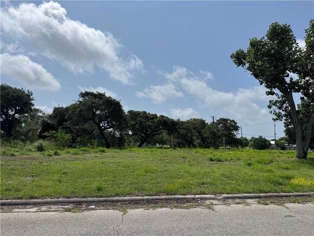 Land for sale in San Patricio, Texas