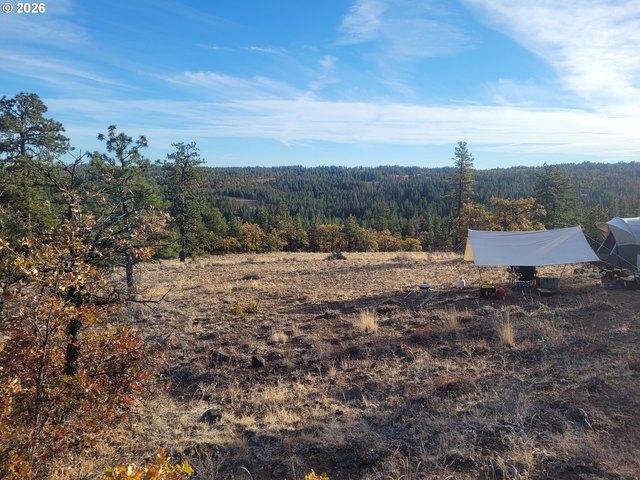 Land for sale in Bickleton, Washington