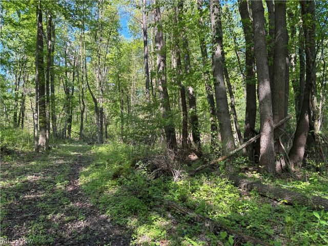 Land for sale in North Lawrence, Ohio