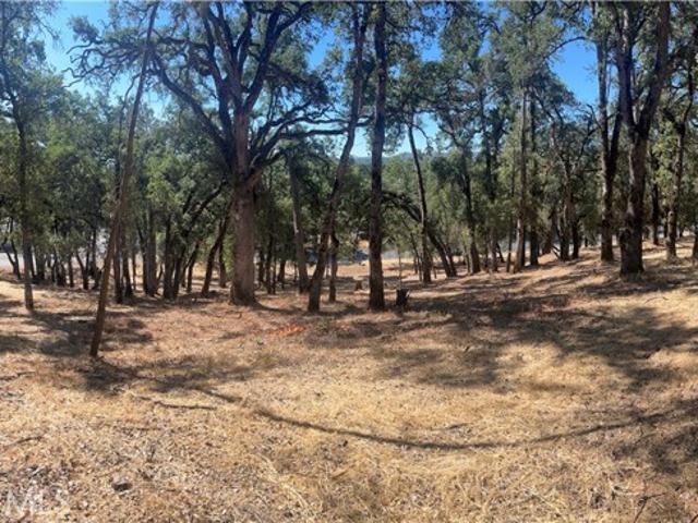 Land for sale in Lake, California