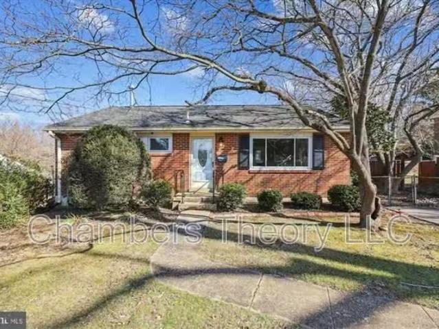 House for rent in Alexandria House for rent in Alexandria