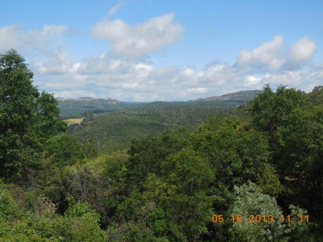 Property for sale in Murphys, California