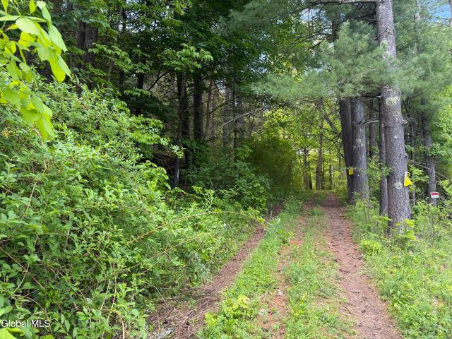 Land for sale in Cornwallville, New York
