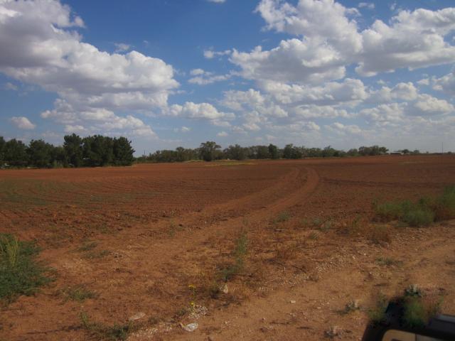 Land for sale in Childress, Childress County