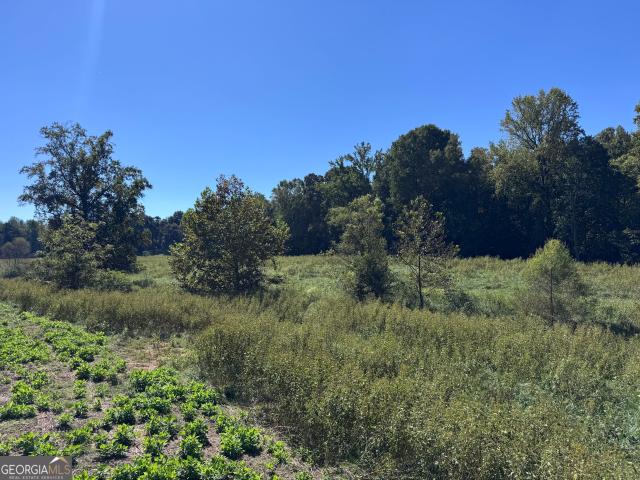 Land for sale in Commerce, Jackson County