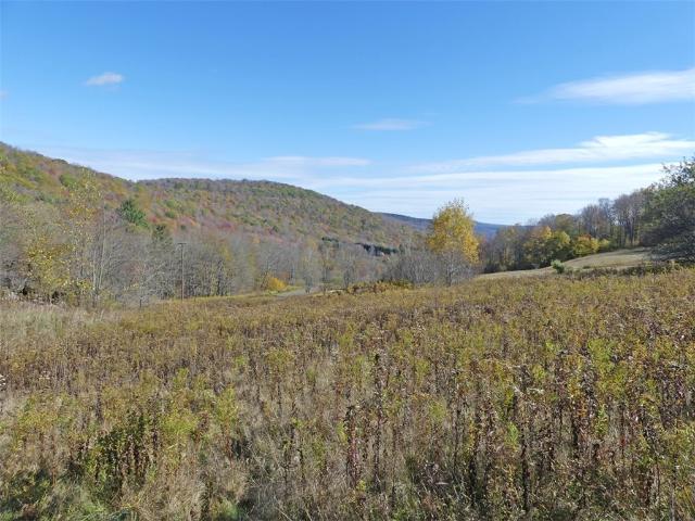 House for sale in Andes, New York