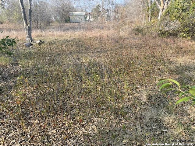 Land for sale in Jourdanton, Texas