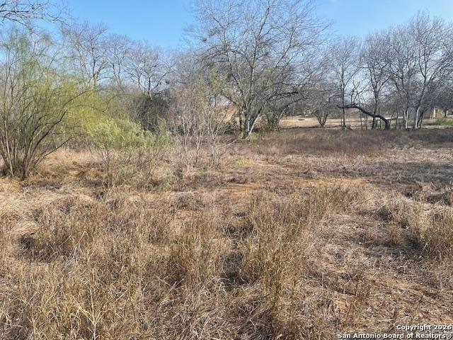 Land for sale in Jourdanton, Texas