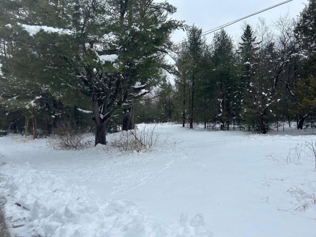 Property for sale in Suring, Wisconsin