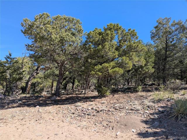 Land for sale in Crestone, Colorado