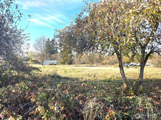 Land for sale in Thurston, Washington