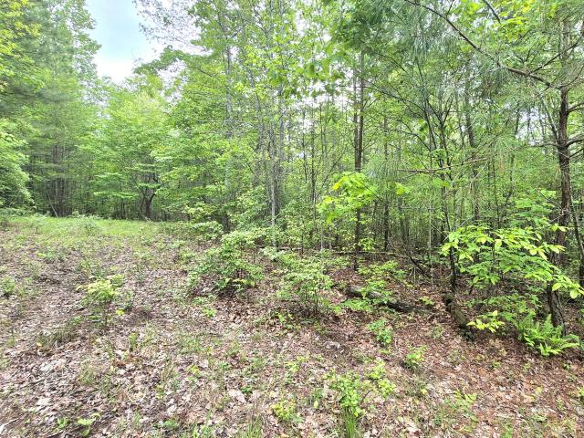 Land for sale in Tennessee