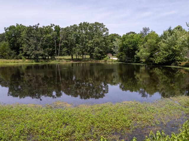 House for sale in Niangua, Missouri