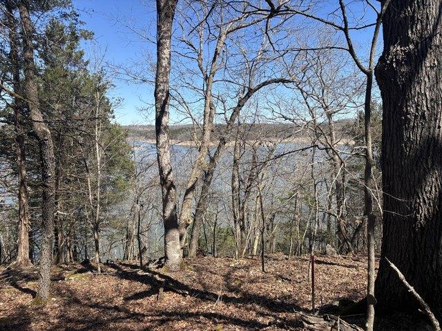 Land for sale in Theodosia, Missouri