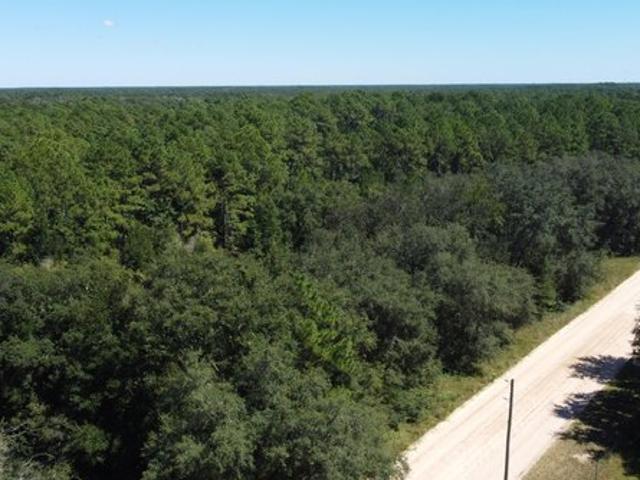 Land for sale in Keystone Heights, Clay County