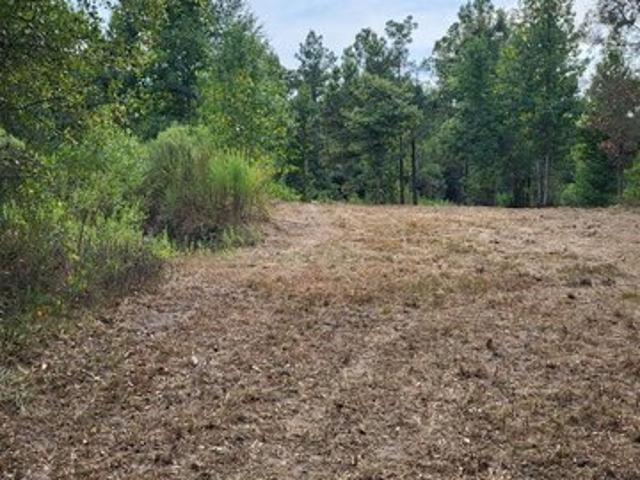 Land for sale in Bronson, Sabine County