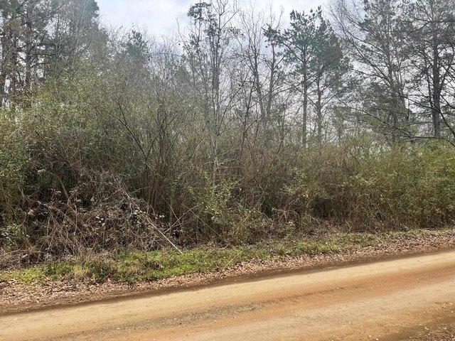 Land for sale in Shelby, Texas