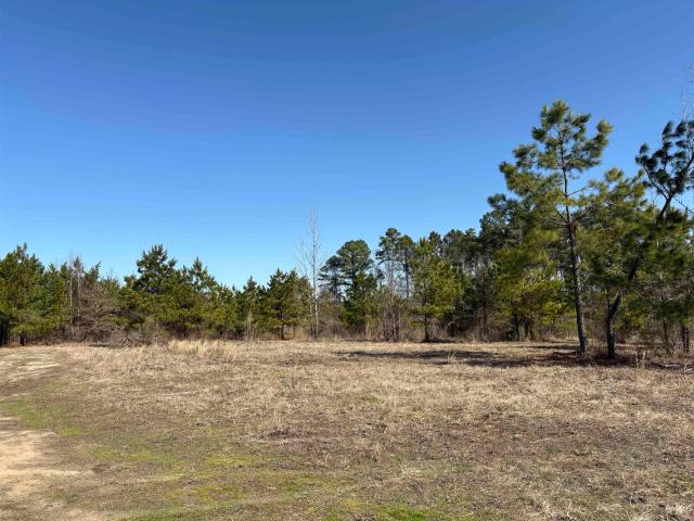 Land for sale in Grapevine