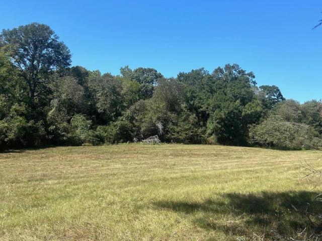 Land for sale in Henderson, Texas