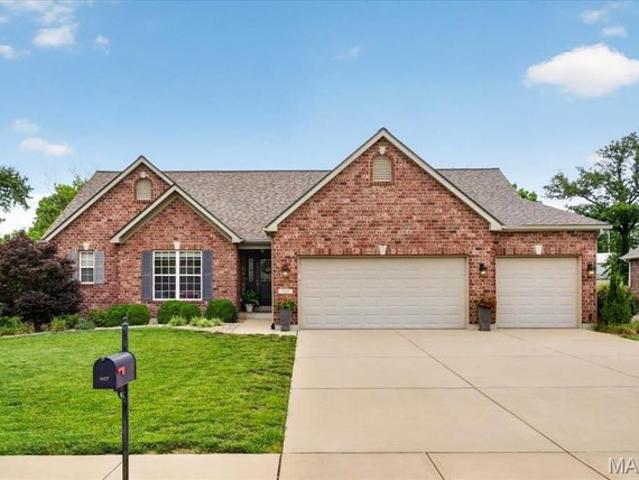 House for sale in Monroe, Illinois