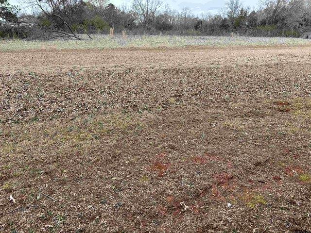 Land for sale in Smith, Texas