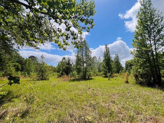 Land for sale in Sabine, Texas