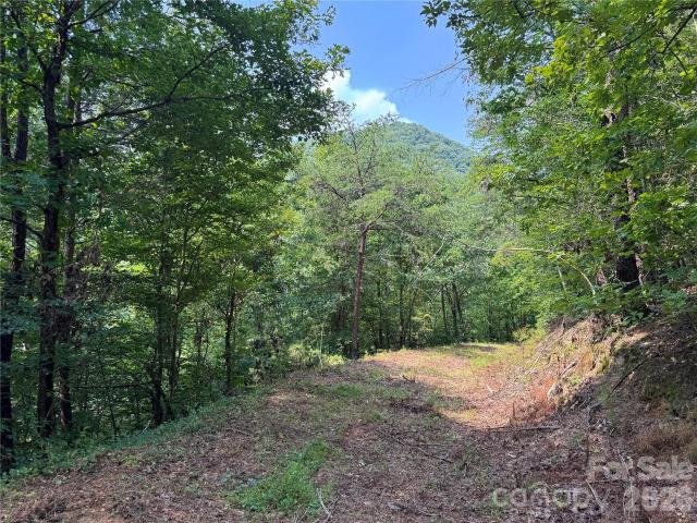 Land for sale in Hot Springs, North Carolina