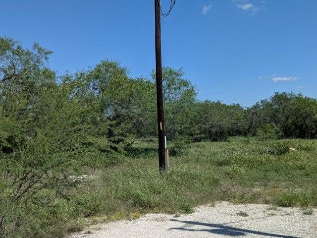 Land for sale in Orange Grove, Texas