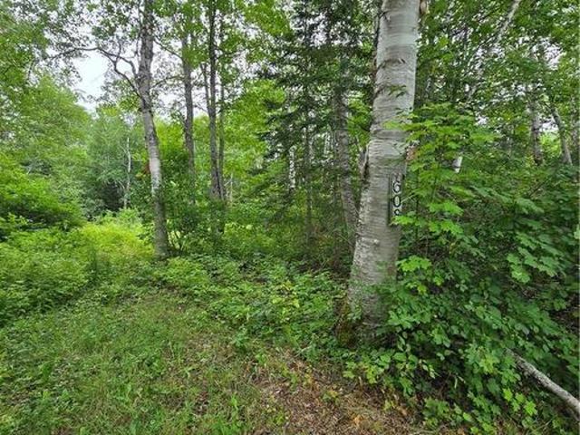 Land for sale in Alcida, New Brunswick