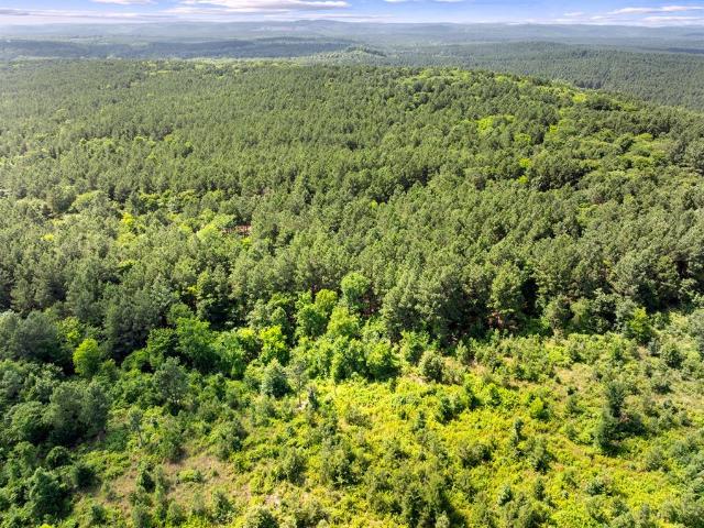 Land for sale in Broken Bow, Oklahoma