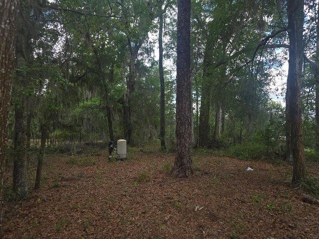 House for sale in Bronson, Florida