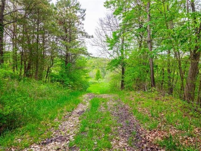 Land for sale in New Concord, Ohio