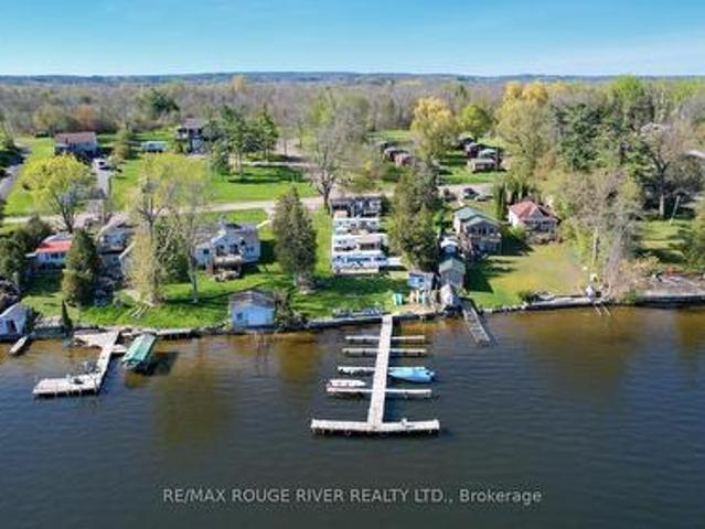 Commercial for sale in Alnwick haldimand, Ontario